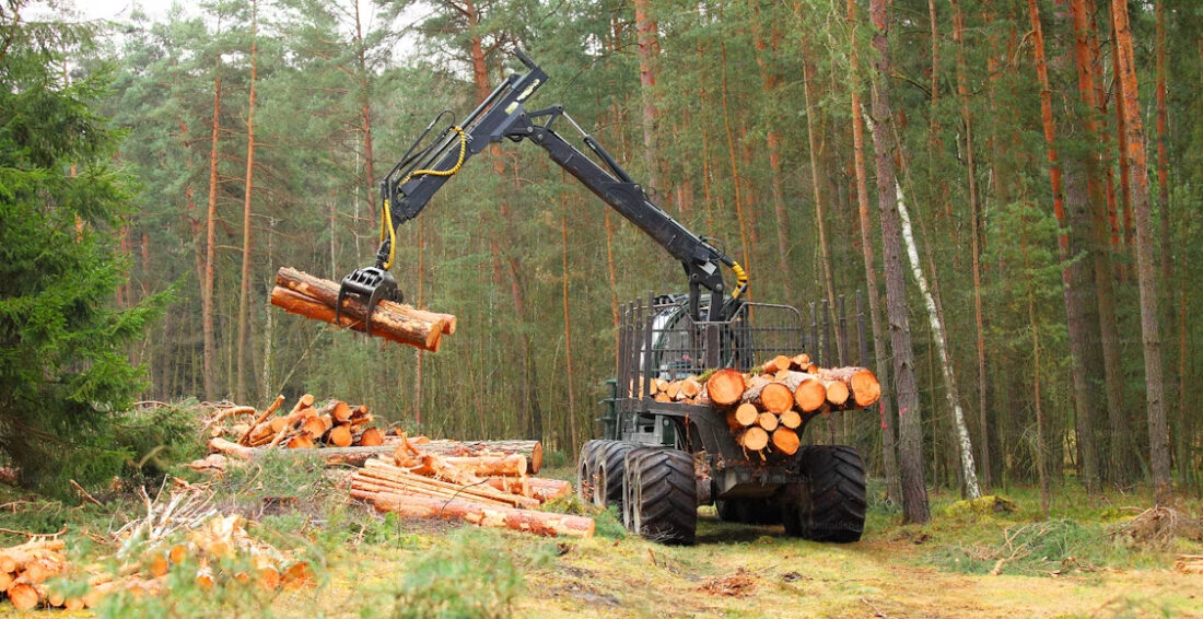 Michigan Forest Products Show returns to Gaylord in August